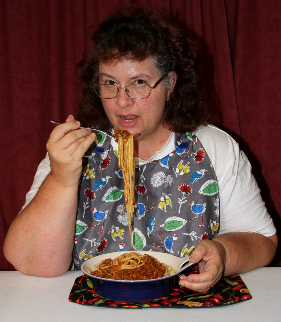 spaghetti adult bib